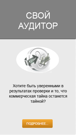 svoi auditor